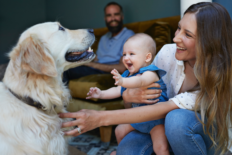 Mom holding laughing baby and petting dog